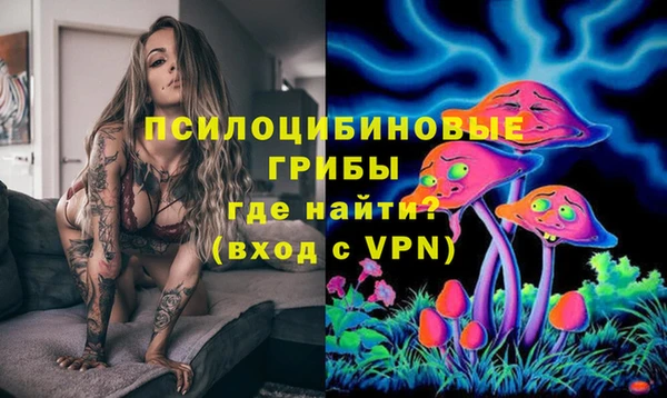кокс Алексин