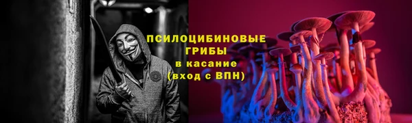 круглые Алзамай