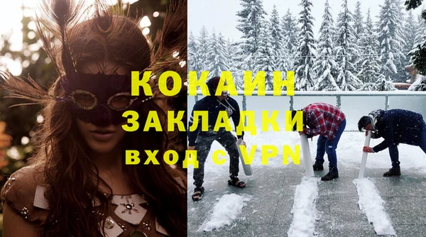 кокс Алексин