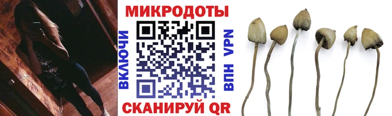 Псилоцибиновые грибы MAGIC MUSHROOMS  ОМГ ОМГ как зайти  Чебаркуль  хочу наркоту 