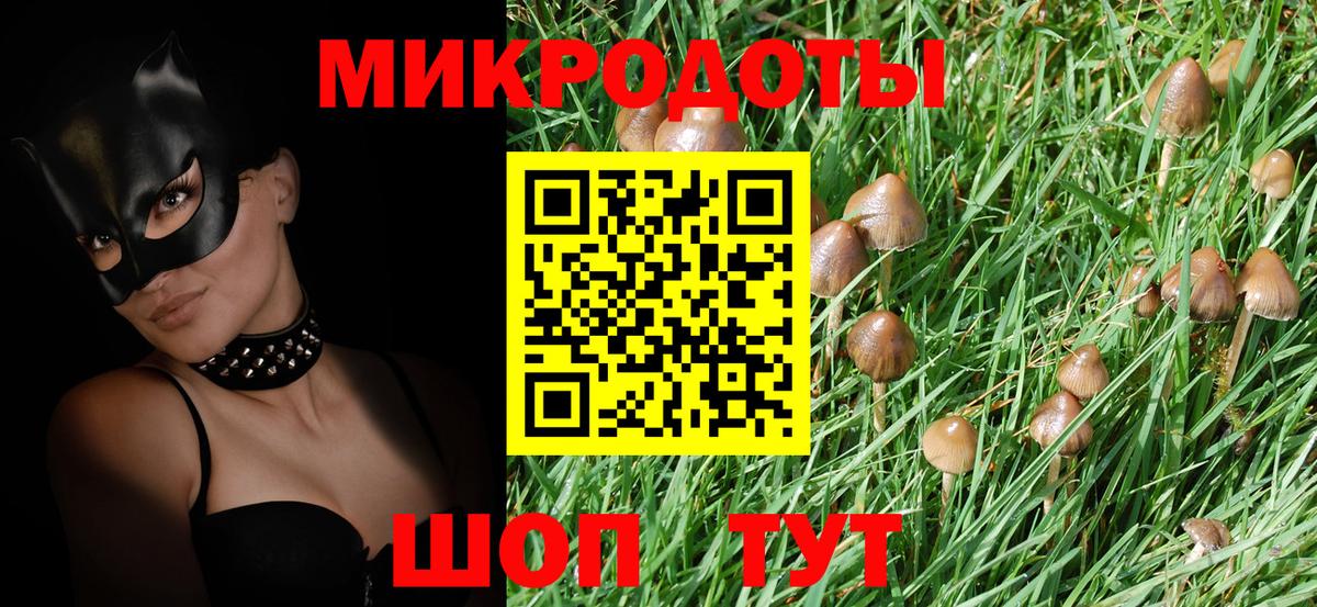Псилоцибиновые грибы MAGIC MUSHROOMS Чебаркуль