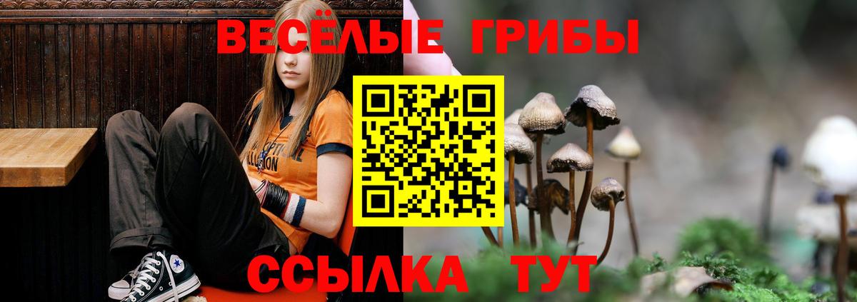 Чебаркуль  Псилоцибиновые грибы мицелий  Псилоцибиновые грибы GOLDEN TEACHER  Вход с VPN 