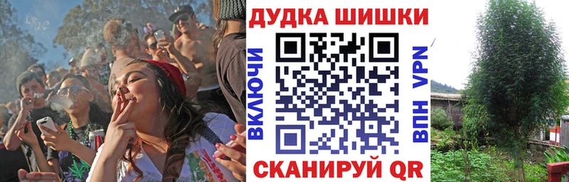 купить наркотик  Чебаркуль  Канабис SATIVA & INDICA 